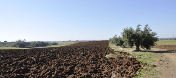 8غرفة منزل في Ardea, Italy رقم 32627 29