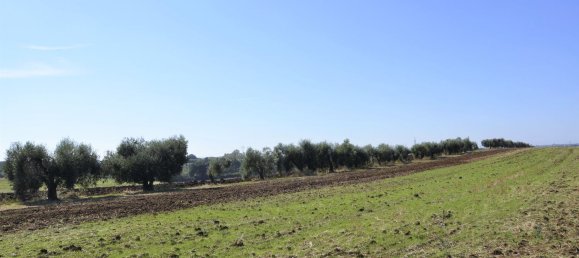 8غرفة منزل في Ardea, Italy رقم 32627 25