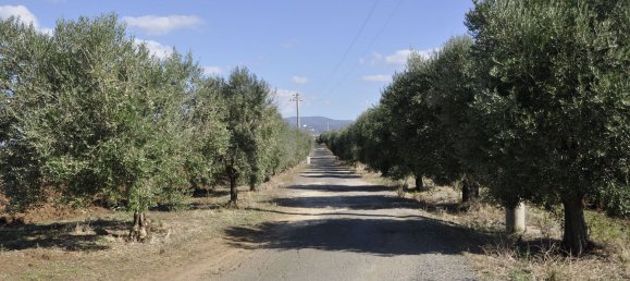 8غرفة منزل في Ardea, Italy رقم 32627 28