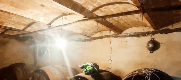 28 rooms House in Sovicille, Italy No. 223421 6