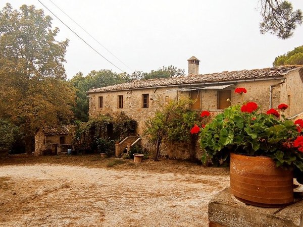 28 rooms House in Sovicille, Italy No. 223421