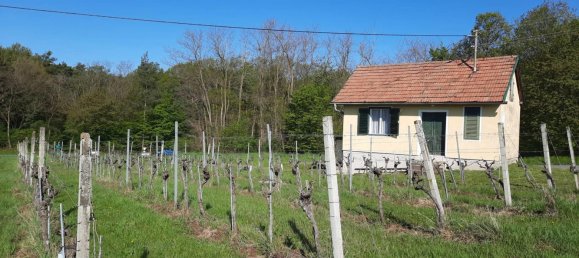 27m² Commercial property in Deutsch Schutzen-Eisenberg, Austria No. 253359 5