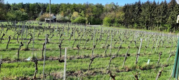 27m² Commercial property in Deutsch Schutzen-Eisenberg, Austria No. 253359 22