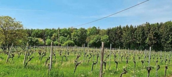 27m² Commercial property in Deutsch Schutzen-Eisenberg, Austria No. 253359 20