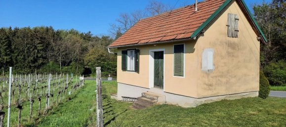 27m² Commercial property in Deutsch Schutzen-Eisenberg, Austria No. 253359 7