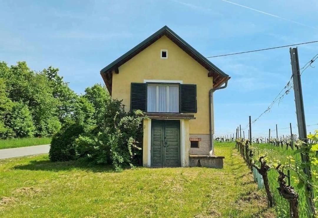 27m² Commercial property in Deutsch Schutzen-Eisenberg, Austria No. 253359