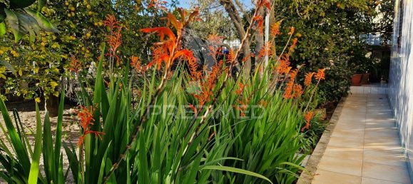 3 غرف نوم منزل في Setubal, Portugal رقم 82872 5