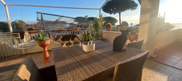 5 rooms House in Ercolano, Italy No. 157327 41