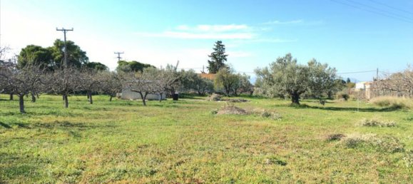 Hotel em Aegina, Greece 6458 m² N.º 6790 7