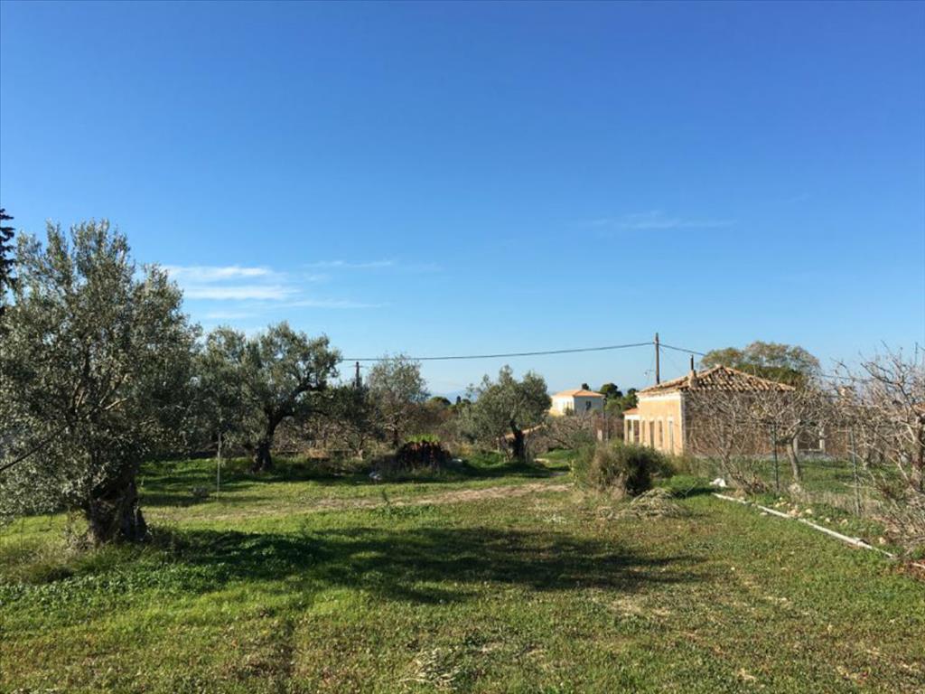 Hotel em Aegina, Greece 6458 m² N.º 6790