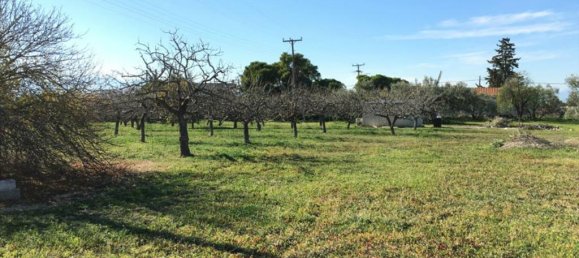 Hotel em Aegina, Greece 6458 m² N.º 6790 4