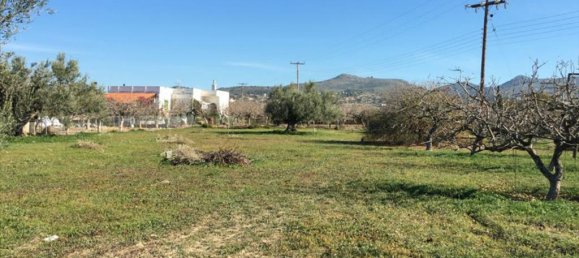 Hotel em Aegina, Greece 6458 m² N.º 6790 8