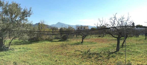 Hotel em Aegina, Greece 6458 m² N.º 6790 2