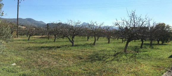 Hotel em Aegina, Greece 6458 m² N.º 6790 5