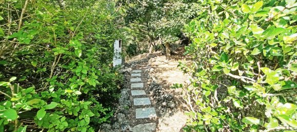 Casa T6 em Guadalajara, Spain N.º 62568 43