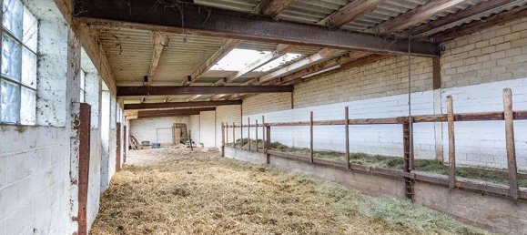 4 bedrooms Farm in Uelzen, Germany No. 143789 17