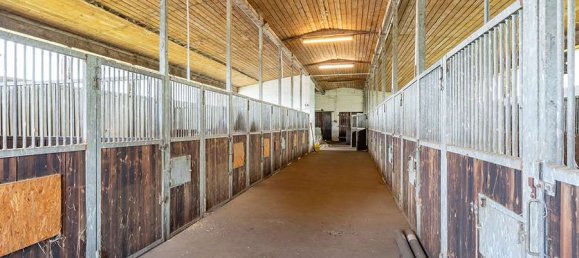 4 bedrooms Farm in Uelzen, Germany No. 143789 15