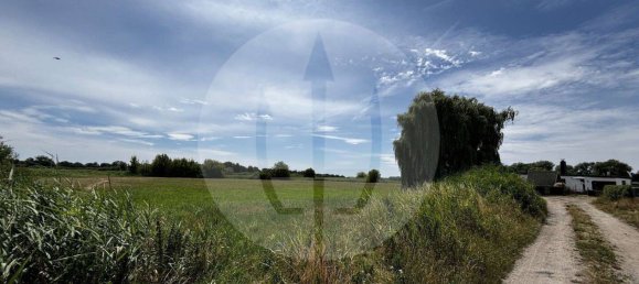 2 Schlafzimmer Bungalow in Potsdam-Mittelmark, Germany, Nr. 220150 4