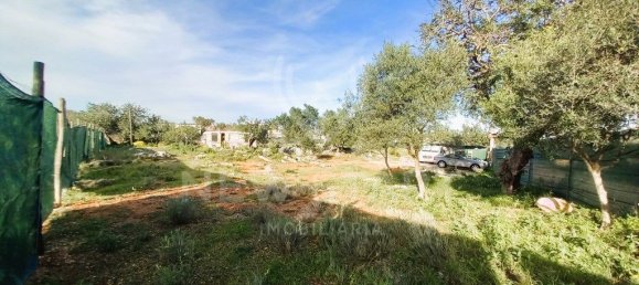 4000m² Land in Pechao, Portugal No. 74636 2