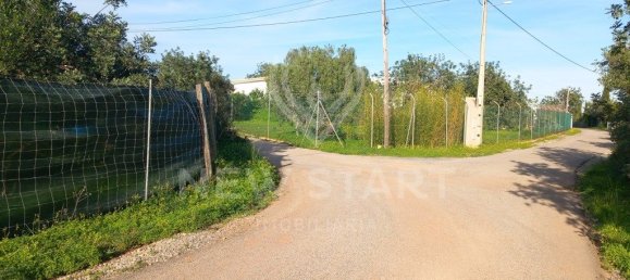 4000m² Land in Pechao, Portugal No. 74636 21