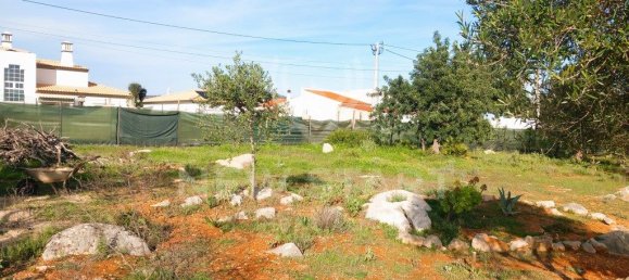 4000m² Land in Pechao, Portugal No. 74636 11