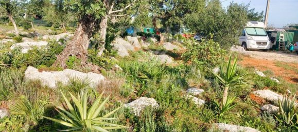 4000m² Land in Pechao, Portugal No. 74636 4