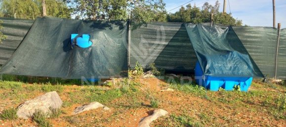 4000m² Land in Pechao, Portugal No. 74636 15