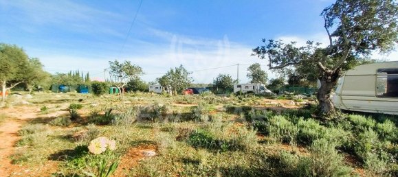 4000m² Land in Pechao, Portugal No. 74636 9