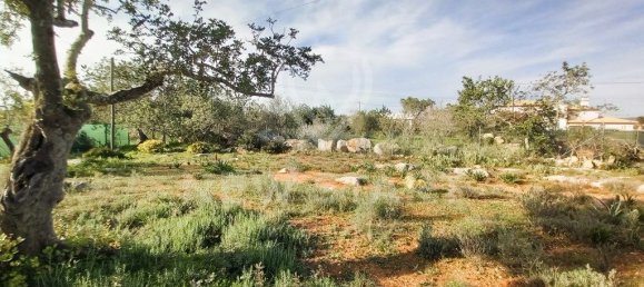 4000m² Land in Pechao, Portugal No. 74636 7