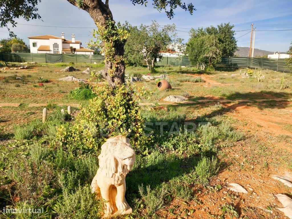 4000m² Land in Pechao, Portugal No. 74636