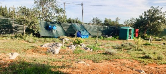 4000m² Land in Pechao, Portugal No. 74636 13