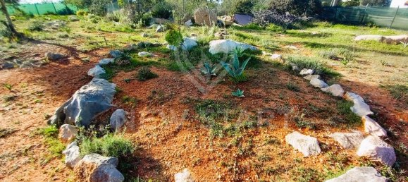 4000m² Land in Pechao, Portugal No. 74636 12