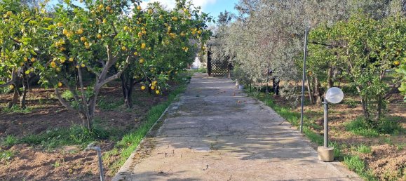 1760m² Land in Quartu Sant'Elena, Italy No. 176843 8