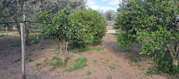 1760m² Land in Quartu Sant'Elena, Italy No. 176843 10