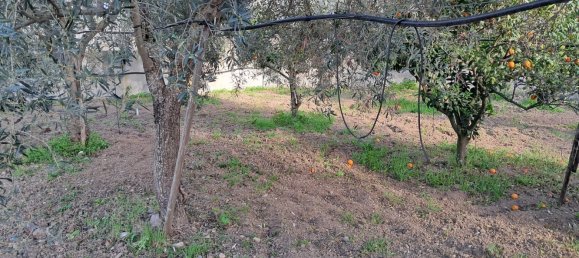 1760m² Land in Quartu Sant'Elena, Italy No. 176843 12