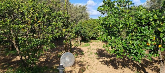 1760m² Land in Quartu Sant'Elena, Italy No. 176843 9