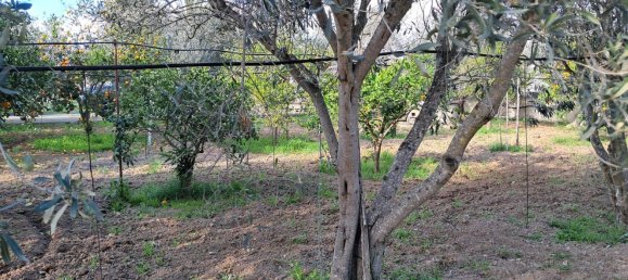 1760m² Land in Quartu Sant'Elena, Italy No. 176843 11