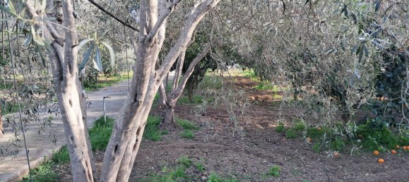 1760m² Land in Quartu Sant'Elena, Italy No. 176843 6