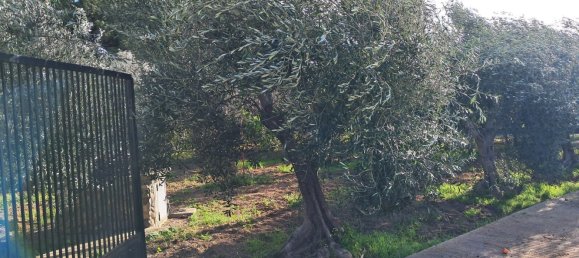 1760m² Land in Quartu Sant'Elena, Italy No. 176843 3