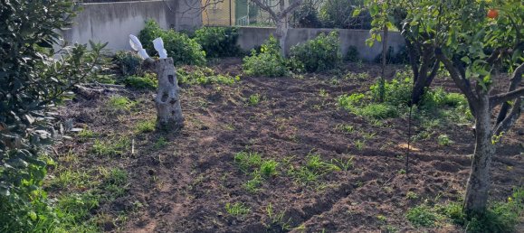 1760m² Land in Quartu Sant'Elena, Italy No. 176843 7