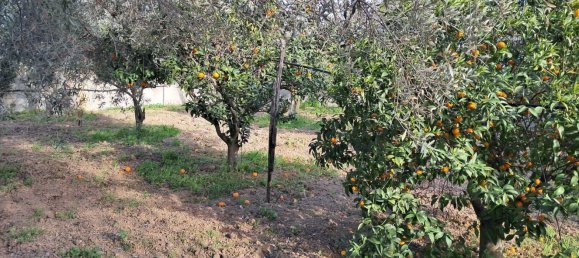 1760m² Land in Quartu Sant'Elena, Italy No. 176843 14