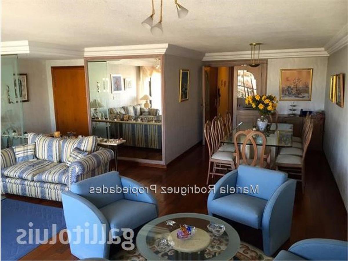 3 bedrooms Apartment in Montevideo, Uruguay No. 391