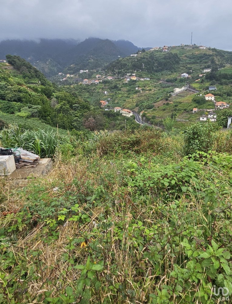  Land in Porto da Cruz, Portugal No. 314182