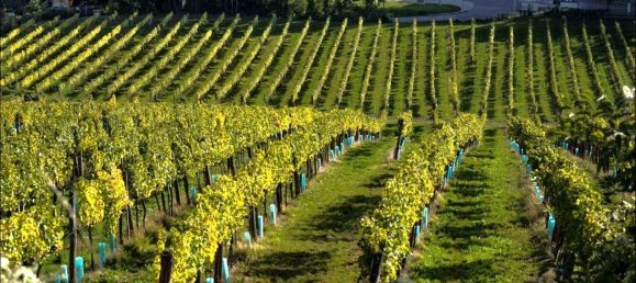 Imóvel comercial em Hernals, Austria 106 m² N.º 131775 5