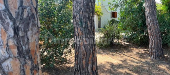 2 غرف نوم فيلا في Quartu Sant'Elena, Italy رقم 270098 39