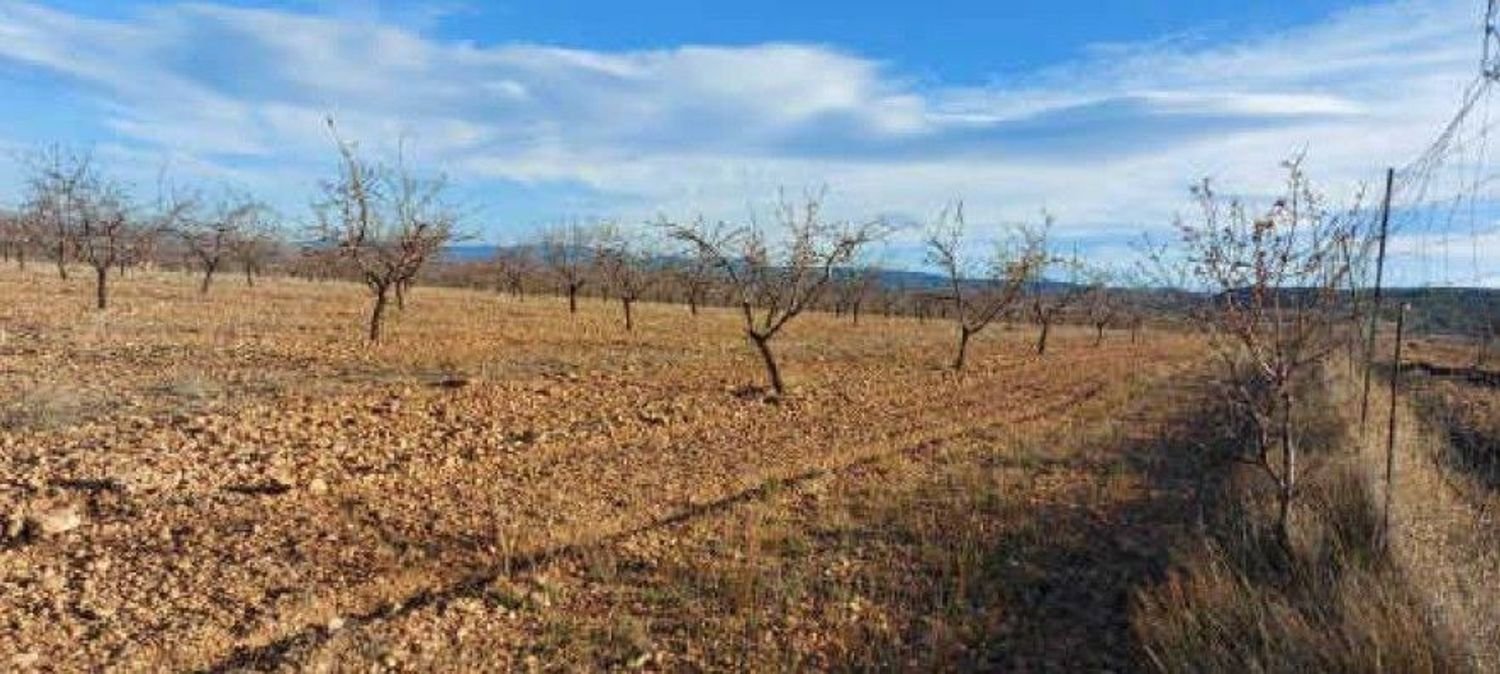  Land in Baza, Spain No. 223140