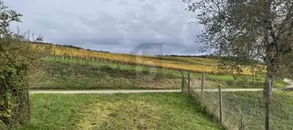 Terreno em Breisgau-Hochschwarzwald, Germany N.º 300376 2