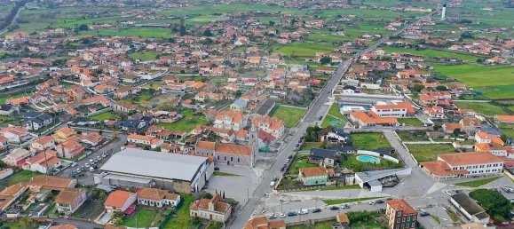 6 bedrooms House in Murtosa, Portugal No. 180139 23