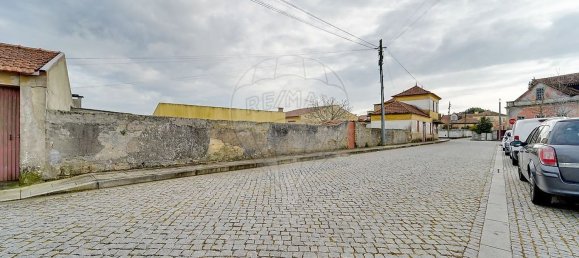 6 bedrooms House in Murtosa, Portugal No. 180139 4