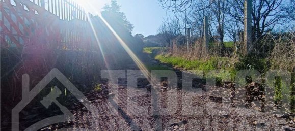 10 rooms Villa in San Giorgio del Sannio, Italy No. 308173 11